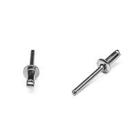 Popnit fzb 4,8x12mm kullrig öp. 250p ANS