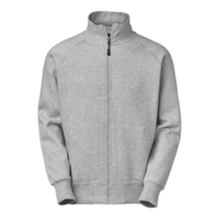 Denver greymel. M SW COLLEGE Modell:231